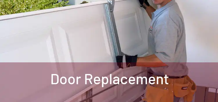  Door Replacement 