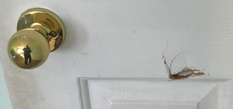 interior door hole repair Beverly Hills